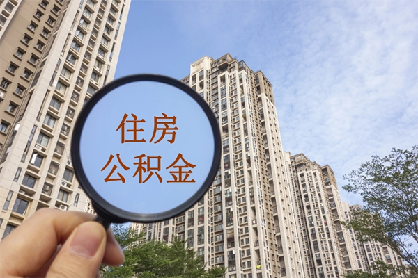 博罗公积金新政今起实施（博罗公积金新政出台）
